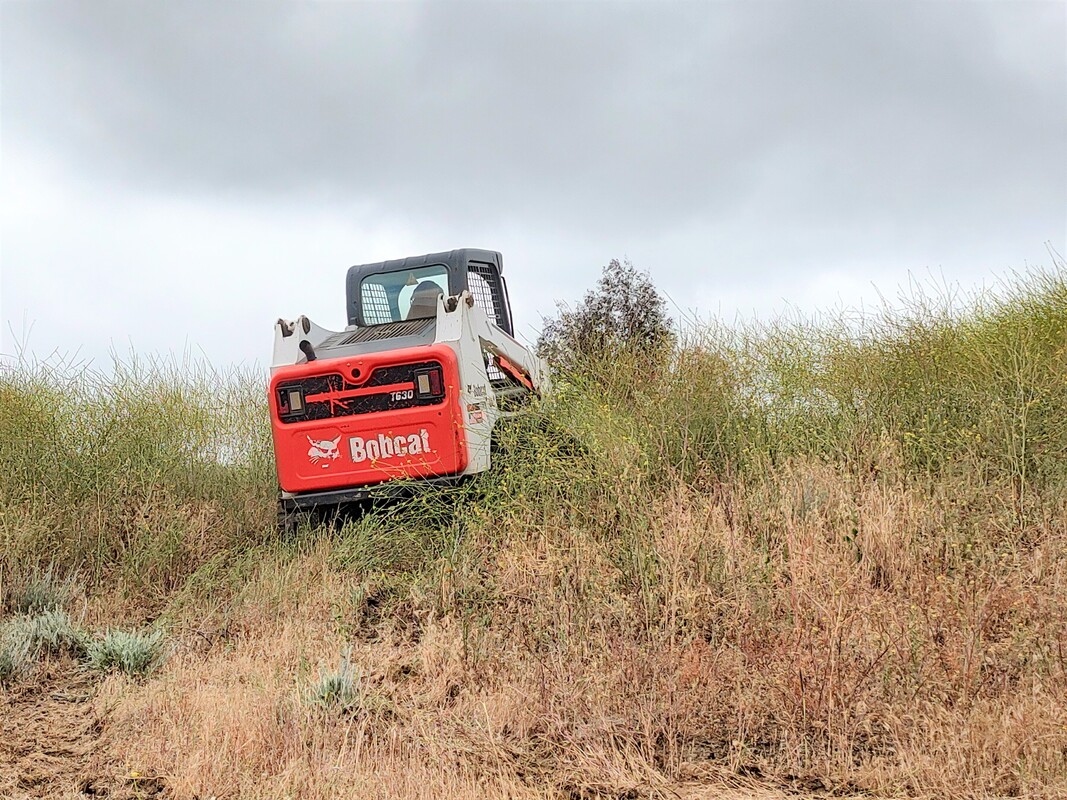 weed abatement and brush clearing services in wildomar ca