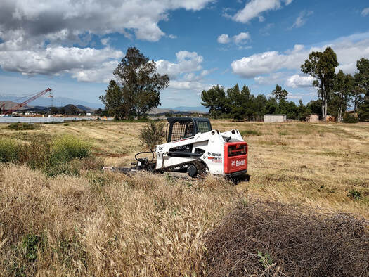 weed abatement services in murrieta ca