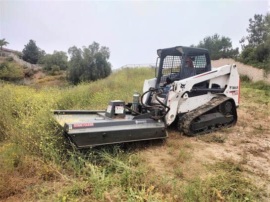 Land clearing contractor mowing heavy brush in Murrieta ca